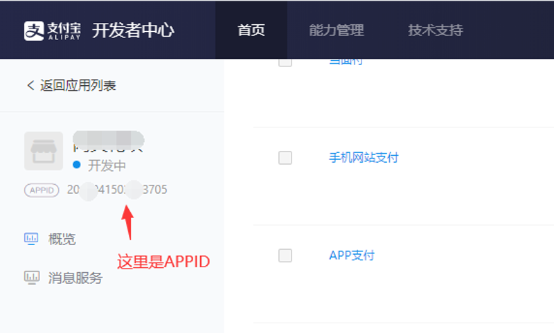 支付宝接口的应用与前景